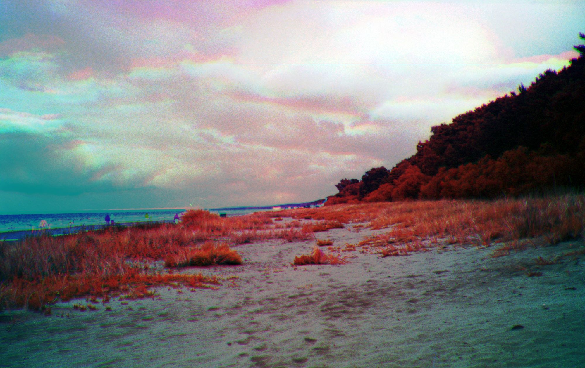 Near-infrared image of a beach